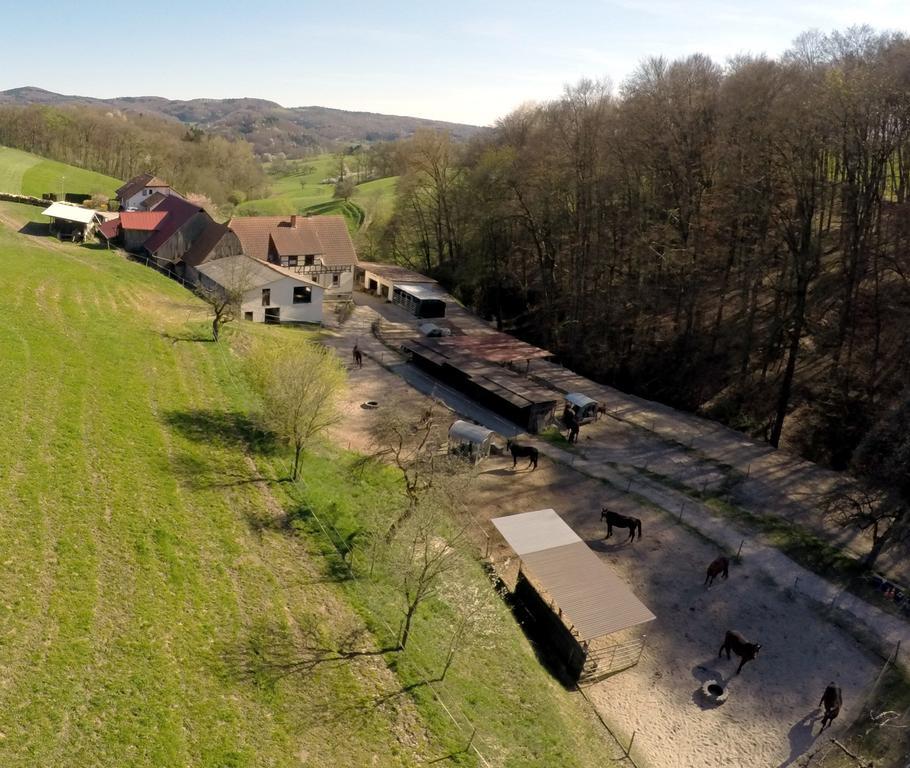 Pferdehof Und Wanderreitstation Doersam Villa Moerlenbach Exterior photo