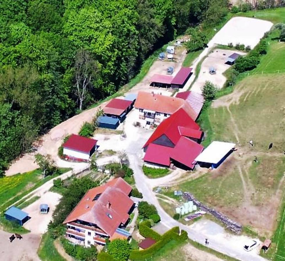 Pferdehof Und Wanderreitstation Doersam Villa Moerlenbach Exterior photo